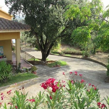 B&B Coldulivo คาโปแตร์รา ภายนอก รูปภาพ