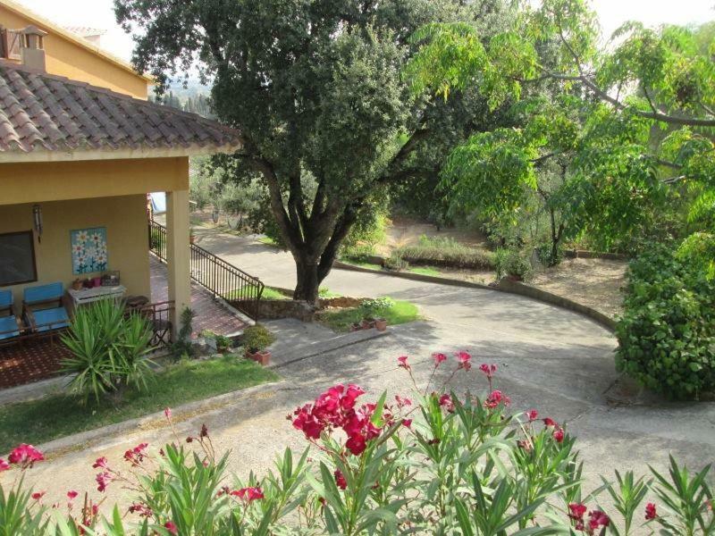 B&B Coldulivo คาโปแตร์รา ภายนอก รูปภาพ